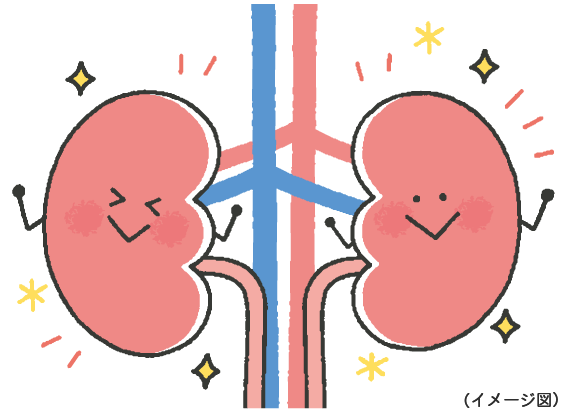 Kiến Thức Y Học: Hành Trình Của Thuốc Trong Cơ Thể Kiến Thức Y Học: Hành Trình Của Thuốc Trong Cơ Thể