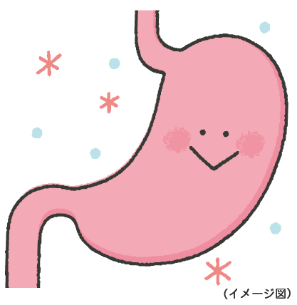 Kiến Thức Y Học: Hành Trình Của Thuốc Trong Cơ Thể Kiến Thức Y Học: Hành Trình Của Thuốc Trong Cơ Thể