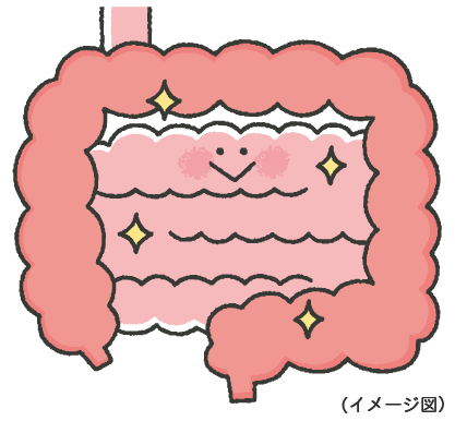 Kiến Thức Y Học: Hành Trình Của Thuốc Trong Cơ Thể Kiến Thức Y Học: Hành Trình Của Thuốc Trong Cơ Thể