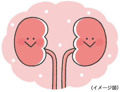 Kiến Thức Y Học: Hành Trình Của Thuốc Trong Cơ Thể Kiến Thức Y Học: Hành Trình Của Thuốc Trong Cơ Thể