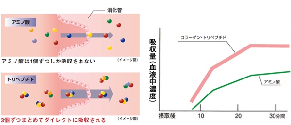Hãy Chú Ý Ngay Cả Khi Bạn Không Cảm Thấy Đau! Đừng Bỏ Qua "Tiếng Kêu Ở Đầu Gối" Hãy Chú Ý Ngay Cả Khi Bạn Không Cảm Thấy Đau! Đừng Bỏ Qua "Tiếng Kêu Ở Đầu Gối"