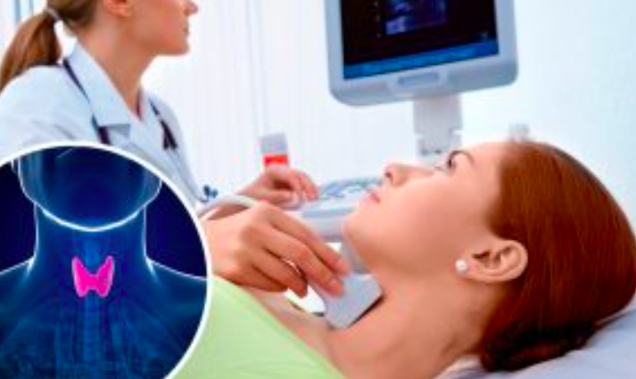 Hãy Cùng Tìm Hiểu Về Tuyến Giáp Nhé! Hãy Cùng Tìm Hiểu Về Tuyến Giáp Nhé!