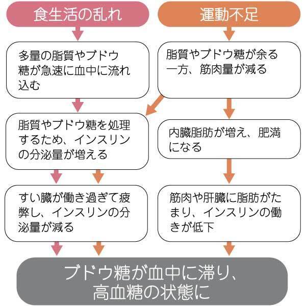 Phụ Nữ Cần Chú Ý! Hãy Phòng Ngừa Tăng Đường Huyết Bảo Vệ Não Bộ Và Cơ Thể Khỏi Các Bệnh Tật. Phụ Nữ Cần Chú Ý! Hãy Phòng Ngừa Tăng Đường Huyết Bảo Vệ Não Bộ Và Cơ Thể Khỏi Các Bệnh Tật.