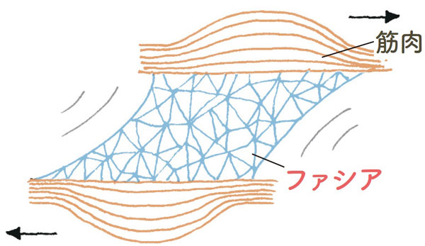 Hãy Thả Lỏng Cơ Thể Của Bạn Và Cải Thiện Ba Căn Bệnh Về Thể Chất! Hãy Thả Lỏng Cơ Thể Của Bạn Và Cải Thiện Ba Căn Bệnh Về Thể Chất!