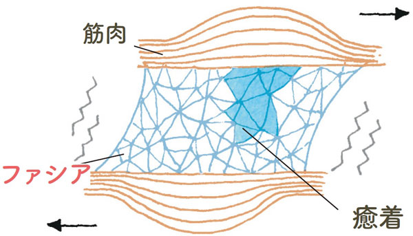 Hãy Thả Lỏng Cơ Thể Của Bạn Và Cải Thiện Ba Căn Bệnh Về Thể Chất! Hãy Thả Lỏng Cơ Thể Của Bạn Và Cải Thiện Ba Căn Bệnh Về Thể Chất!