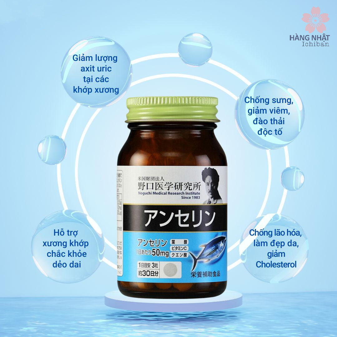 Viên uống Gout Anserine Noguchi - Giúp giảm triệu chứng và ngăn ngừa Gout Viên uống Gout Anserine Noguchi - Giúp giảm triệu chứng và ngăn ngừa Gout