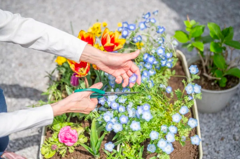 Ho Kéo Dài Có Thể Do "Hội Chứng Nhầy Phổi", Thường Gặp Ở Phụ Nữ Trên 50 Tuổi! Ho Kéo Dài Có Thể Do "Hội Chứng Nhầy Phổi", Thường Gặp Ở Phụ Nữ Trên 50 Tuổi!