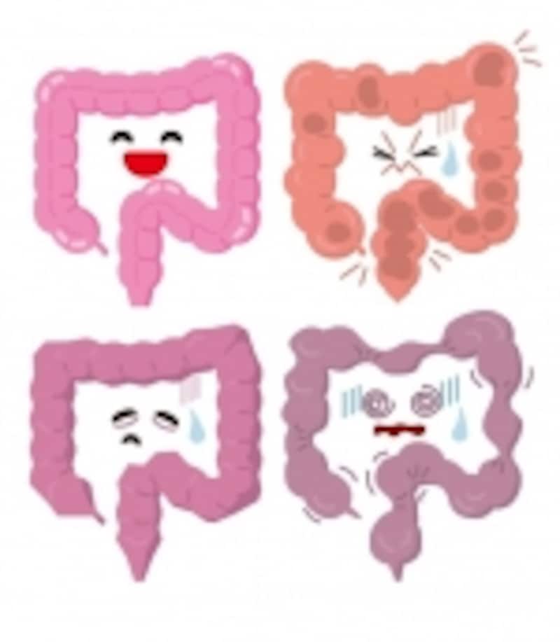 Khám Phá Các Loại Táo Bón và Cách Khắc Phục Khám Phá Các Loại Táo Bón và Cách Khắc Phục