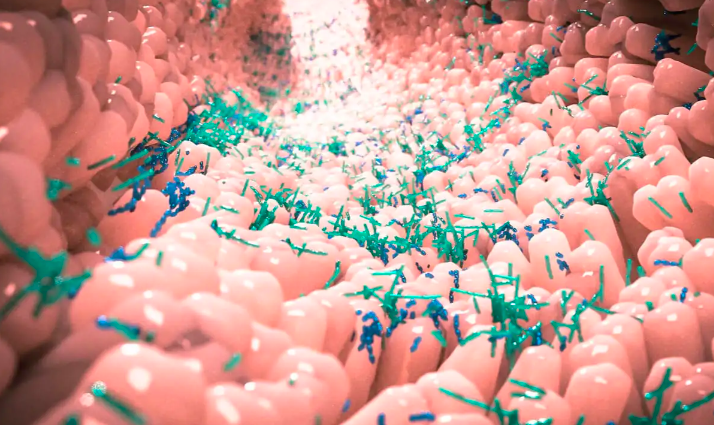 Khi Nào Và Làm Thế Nào Bạn Nên Bắt Đầu Chế Độ Ăn Kiêng? Khi Nào Và Làm Thế Nào Bạn Nên Bắt Đầu Chế Độ Ăn Kiêng?