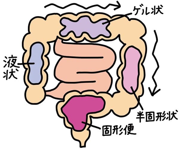Kiểm Tra Mức Độ Táo Bón: Căn Bệnh Nguy Hiểm Đến Tính Mạng Kiểm Tra Mức Độ Táo Bón: Căn Bệnh Nguy Hiểm Đến Tính Mạng