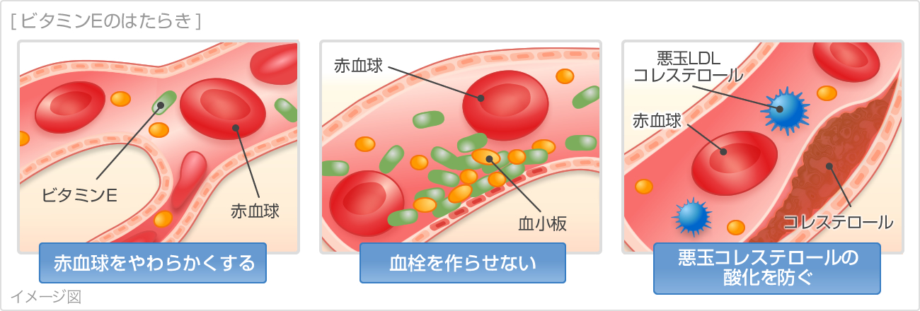 Nguyên Nhân Gây Lạnh Tay Chân Nguyên Nhân Gây Lạnh Tay Chân