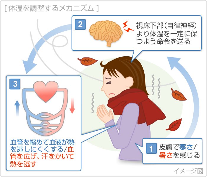 Nguyên Nhân Gây Lạnh Tay Chân Nguyên Nhân Gây Lạnh Tay Chân