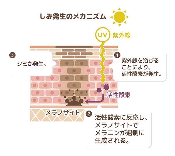 Lựa Chọn Sản Phẩm Bổ Sung Làm Trắng Da Có Khả Năng Giảm Thiểu Các Vết Nám Và Chứa Vitamin C Và E Lựa Chọn Sản Phẩm Bổ Sung Làm Trắng Da Có Khả Năng Giảm Thiểu Các Vết Nám Và Chứa Vitamin C Và E