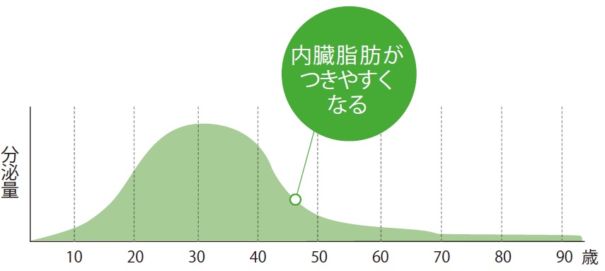 Nguyên Nhân Chính Khiến Phụ Nữ Trưởng Thành Có Bụng To Là "Mỡ Nội Tạng"! Nguyên Nhân Chính Khiến Phụ Nữ Trưởng Thành Có Bụng To Là "Mỡ Nội Tạng"!