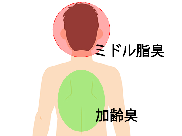 Mùi Cơ Thể, Đặc Biệt Là Mùi Giống Như Mồ Hôi, Là Vấn Đề Mà Cả Nam Và Nữ Đều Phải Đối Mặt Mùi Cơ Thể, Đặc Biệt Là Mùi Giống Như Mồ Hôi, Là Vấn Đề Mà Cả Nam Và Nữ Đều Phải Đối Mặt