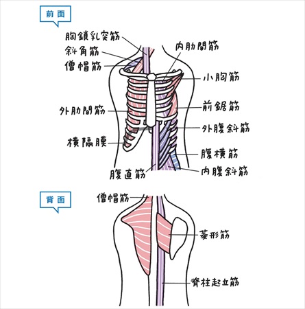 Tăng Cường Hệ Miễn Dịch Của Bạn Với "Sức Sống Siêu Phổi" Và Ngăn Ngừa Suy Giảm Chức Năng Hô Hấp! Tăng Cường Hệ Miễn Dịch Của Bạn Với "Sức Sống Siêu Phổi" Và Ngăn Ngừa Suy Giảm Chức Năng Hô Hấp!