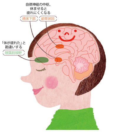 Bí Quyết Để Có Một Giấc Ngủ Ngon Giúp Não Bớt Mệt Mỏi Là Gì? Bí Quyết Để Có Một Giấc Ngủ Ngon Giúp Não Bớt Mệt Mỏi Là Gì?