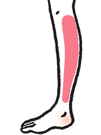 Những Dấu Hiệu Của Bệnh Giãn Tĩnh Mạch Là Gì? Tự Kiểm Tra Và Chẩn Đoán Qua Hình Ảnh. Những Dấu Hiệu Của Bệnh Giãn Tĩnh Mạch Là Gì? Tự Kiểm Tra Và Chẩn Đoán Qua Hình Ảnh.