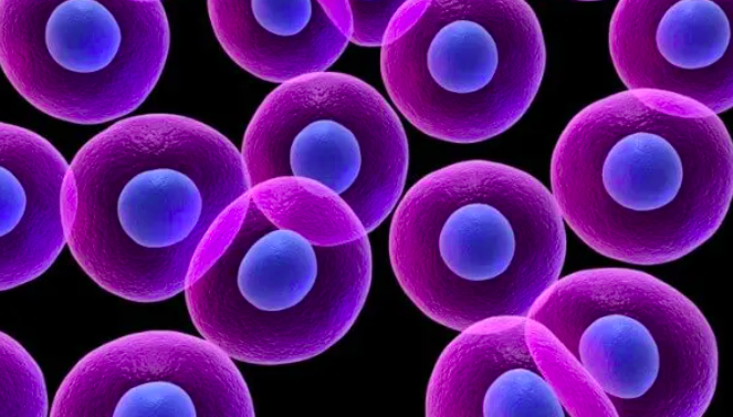 Những Điều Thú Vị Về Mỡ Cơ Thể Mà Bạn Có Thể Chưa Biết Những Điều Thú Vị Về Mỡ Cơ Thể Mà Bạn Có Thể Chưa Biết