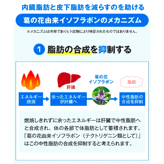 Viên Uống Giảm Mỡ Bụng Onaka - Giải Pháp Cho Vòng Eo Thon Gọn Viên Uống Giảm Mỡ Bụng Onaka - Giải Pháp Cho Vòng Eo Thon Gọn