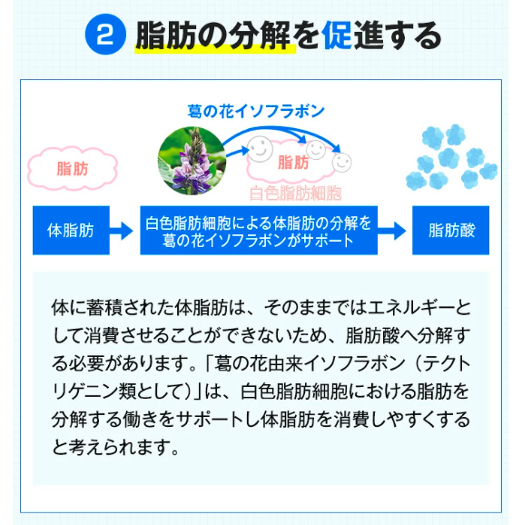 Viên Uống Giảm Mỡ Bụng Onaka - Giải Pháp Cho Vòng Eo Thon Gọn Viên Uống Giảm Mỡ Bụng Onaka - Giải Pháp Cho Vòng Eo Thon Gọn