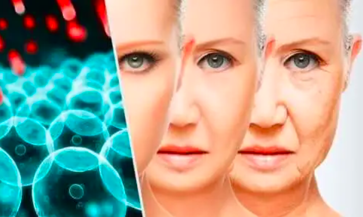 Quá trình lão hóa bắt đầu khi nào? Quá trình lão hóa bắt đầu khi nào?