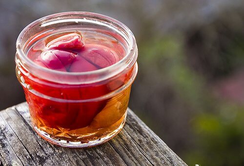 Sự Khác Biệt Giữa Cảm Giác Khó Chịu Ở Dạ Dày Và Ợ Chua Là Gì? Sự Khác Biệt Giữa Cảm Giác Khó Chịu Ở Dạ Dày Và Ợ Chua Là Gì?