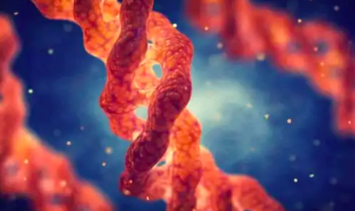 Sự khác biệt giữa collagen biển và collagen bò Sự khác biệt giữa collagen biển và collagen bò