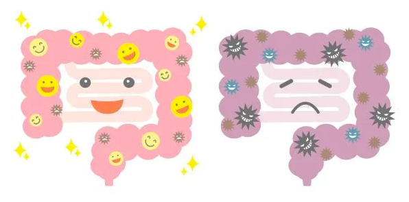 Suy Giảm Khả Năng Giải Độc Là Gì? Suy Giảm Khả Năng Giải Độc Là Gì?