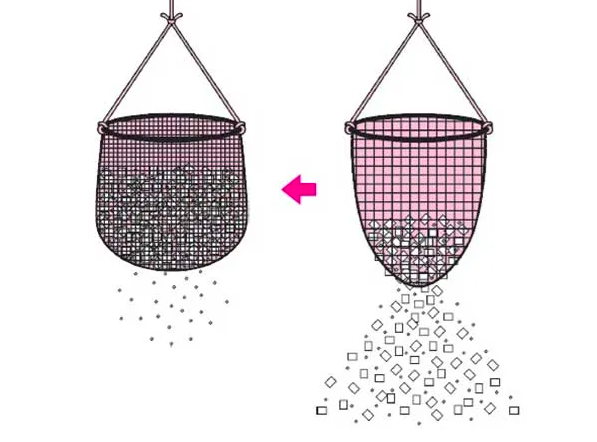 Tầm Quan Trọng Của Xương Chậu Trong Quá Trình Lão Hóa Não Tầm Quan Trọng Của Xương Chậu Trong Quá Trình Lão Hóa Não