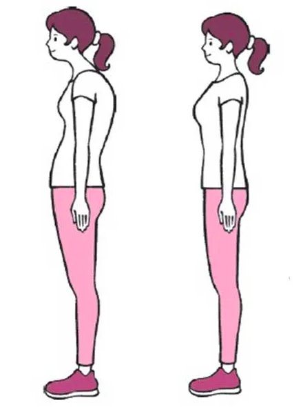 Tầm Quan Trọng Của Xương Chậu Trong Quá Trình Lão Hóa Não Tầm Quan Trọng Của Xương Chậu Trong Quá Trình Lão Hóa Não