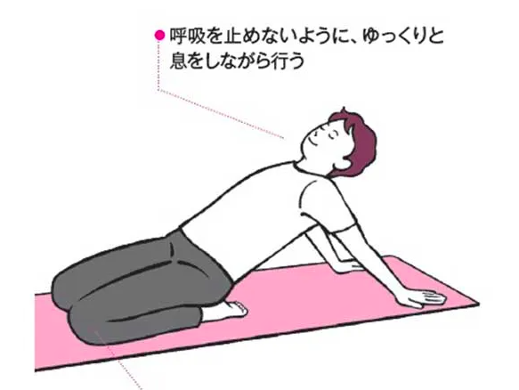 Tầm Quan Trọng Của Xương Chậu Trong Quá Trình Lão Hóa Não Tầm Quan Trọng Của Xương Chậu Trong Quá Trình Lão Hóa Não