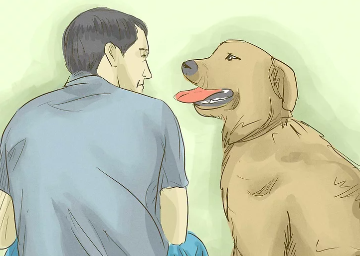 Cách Tăng Cường Sức Khỏe Một Cách Dễ Dàng Dù Bạn Có Lười Biếng Cách Tăng Cường Sức Khỏe Một Cách Dễ Dàng Dù Bạn Có Lười Biếng