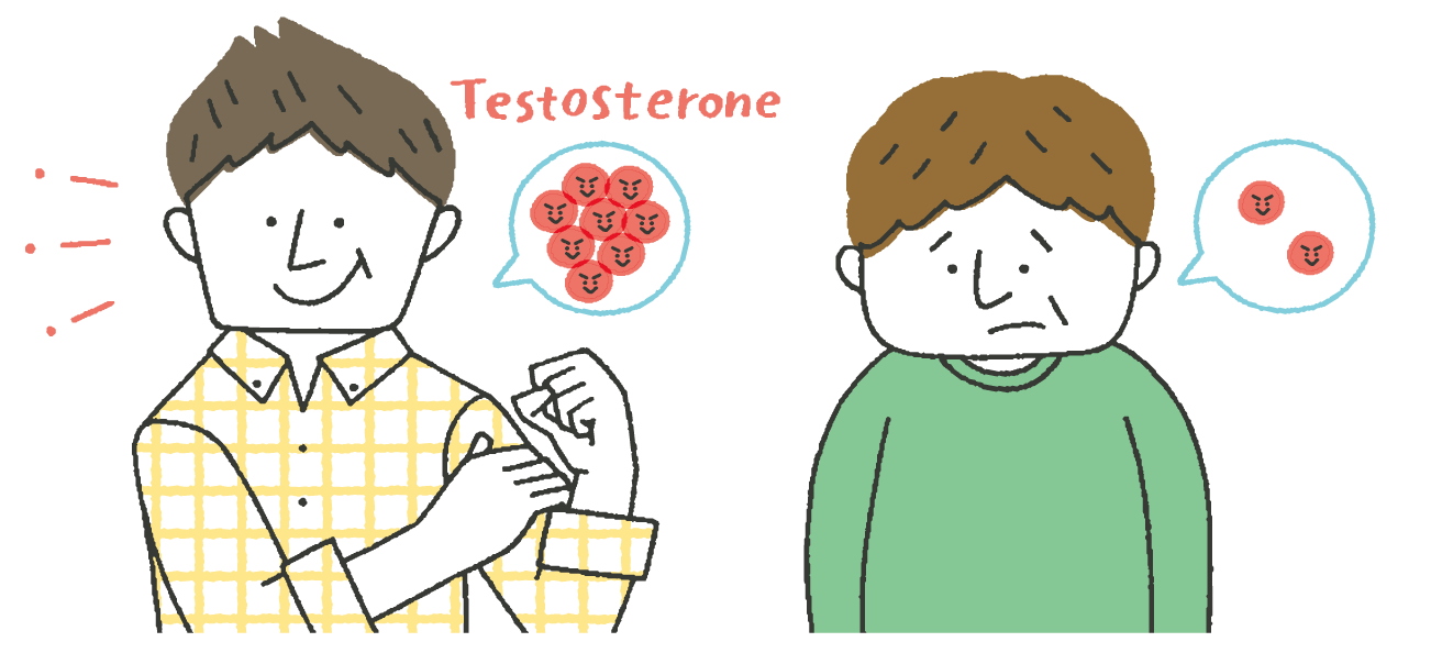 Testosterone: Hormone Chủ Yếu Ở Nam Giới, Cũng Tồn Tại Ở Phụ Nữ Và Được Gọi Là “Hormone Xã Hội” Testosterone: Hormone Chủ Yếu Ở Nam Giới, Cũng Tồn Tại Ở Phụ Nữ Và Được Gọi Là “Hormone Xã Hội”