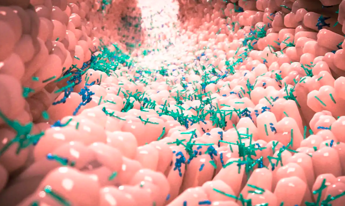 Thành phần dinh dưỡng, công dụng và cách chế biến lá mãng cầu xiêm Thành phần dinh dưỡng, công dụng và cách chế biến lá mãng cầu xiêm