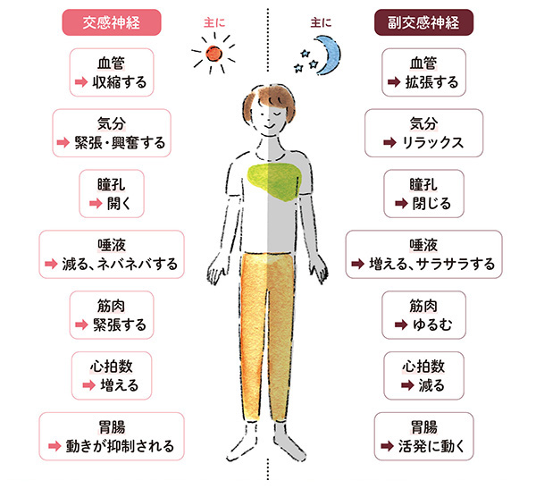 Ở Tuổi 50... Hãy Tìm Cách Thoát Khỏi Cảm Giác "Mệt Mỏi Và Uể Oải" Đầy Đau Đớn! Ở Tuổi 50... Hãy Tìm Cách Thoát Khỏi Cảm Giác "Mệt Mỏi Và Uể Oải" Đầy Đau Đớn!