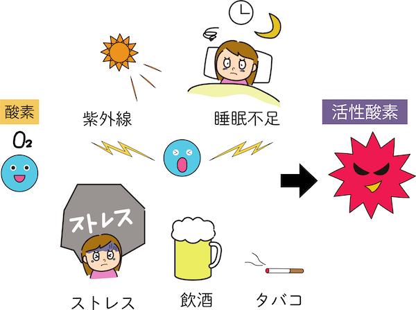 Dinh Dưỡng và Thực Phẩm: Bí Quyết Ngăn Chặn Quá Trình Oxy Hóa trong Cơ Thể Dinh Dưỡng và Thực Phẩm: Bí Quyết Ngăn Chặn Quá Trình Oxy Hóa trong Cơ Thể