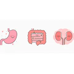 KIẾN THỨC Y HỌC: HÀNH TRÌNH CỦA THUỐC TRONG CƠ THỂ