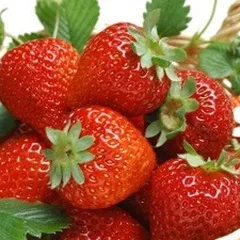 Top 3 loại thức ăn bổ não tốt nhất mà bạn nên bổ sung vào thực đơn hằng ngày