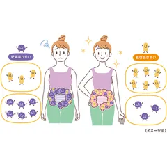 BÍ MẬT CỦA RUỘT: CHÌA KHÓA CHO LÀN DA ĐẸP, HỆ MIỄN DỊCH MẠNH MẼ, CHẾ ĐỘ ĂN UỐNG LÀNH MẠNH VÀ SỨC KHỎE TINH THẦN