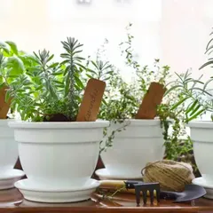 CÁCH LÀM VƯỜN THẢO MỘC