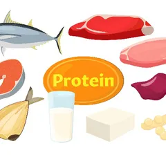 DANH SÁCH THỰC PHẨM GIÀU PROTEIN! CÂN BẰNG DINH DƯỠNG ĐỂ TRÁNH THIẾU HỤT HOẶC TIÊU THỤ QUÁ MỨC