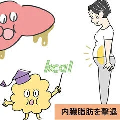 CHỈ TRONG 3 TUẦN! LÀM THẾ NÀO ĐỂ GIẢM MỠ NỘI TẠNG VỚI 3 PHƯƠNG PHÁP ĐƠN GIẢN?