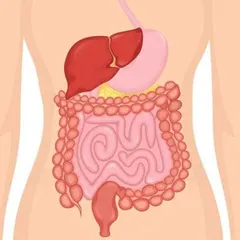 LÀM SẠCH RUỘT KẾT CÓ AN TOÀN KHÔNG? CÁCH LÀM SẠCH TỰ NHIÊN NHƯ THẾ NÀO?