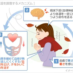 NGUYÊN NHÂN GÂY LẠNH TAY CHÂN