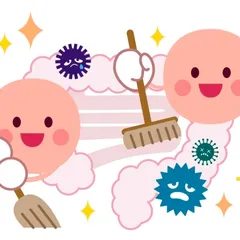 LỢI ÍCH CỦA VI KHUẨN AXIT LACTIC ĐỐI VỚI SỨC KHỎE PHỤ NỮ TRUNG NIÊN