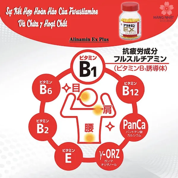 ALINAMIN EX PLUS - CẢI THIỆN ĐAU CỔ VAI GÁY, ĐAU LƯNG, MỎI MẮT