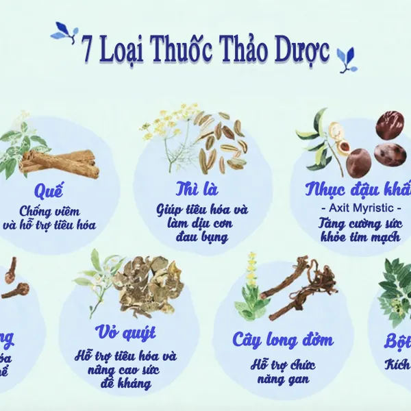 THUỐC HỖ TRỢ TRỊ ĐAU DẠ DÀY OHTA’S ISAN GÓI S