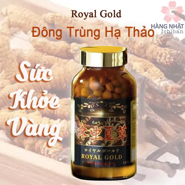 ĐÔNG TRÙNG HẠ THẢO ROYAL GOLD - NGUỒN DINH DƯỠNG QUÝ GIÁ CHO SỨC KHỎE