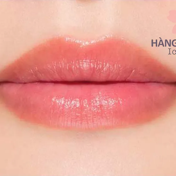 DƯỠNG MÔI DHC DENSE MOISTURE COLOR LIP CREAM SẮC ĐỎ
